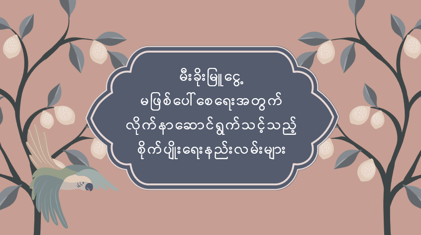 မီးခိုးမြူငွေ့ မဖြစ်ပေါ်စေရေးအတွက် လိုက်နာဆောင်ရွက်သင့်သည့် စိုက်ပျိုးရေးနည်းလမ်းများ