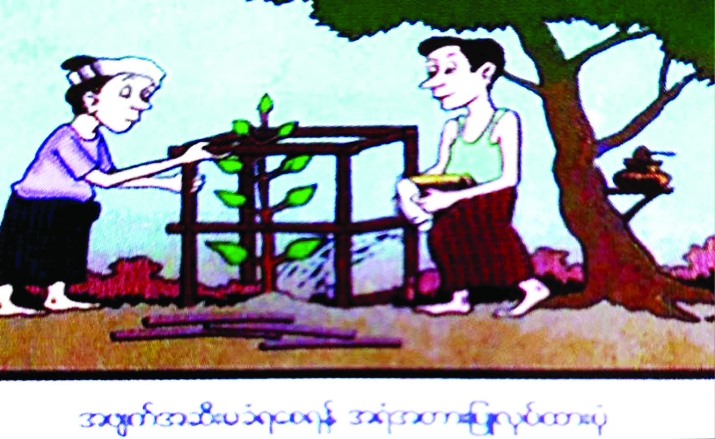 သစ်ပင်စိုက်လျှင် ရှင်သန်ချင် လိုက်နာကြဖို့ အသိယှဉ်