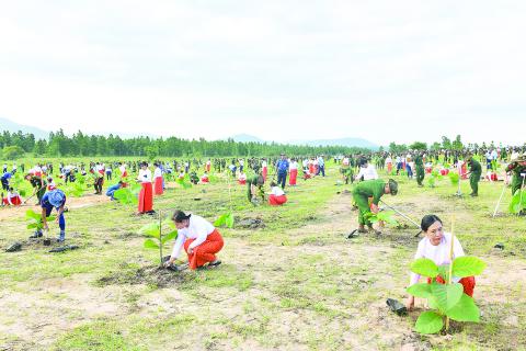 သဘာဝဘေးအန္တရာယ်ကျော်လွှားဖို့ သစ်ပင်စိုက်ပျိုးကြပါစို့