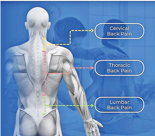Back pain can be eased with walking – but there’s a specific number of minutes to reach per day