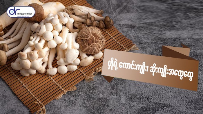 မှို၏ ကောင်းကျိုး၊ ဆိုးကျိုး အထွေထွေ