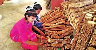 Myanmar’s Value – Myanmar’s Future