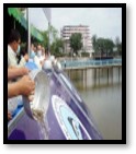 Fish Releasing Festival