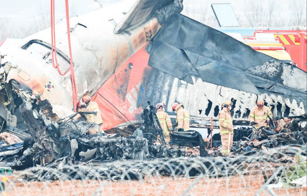 Bird feathers and bloodstains found in Jeju jet engines: report