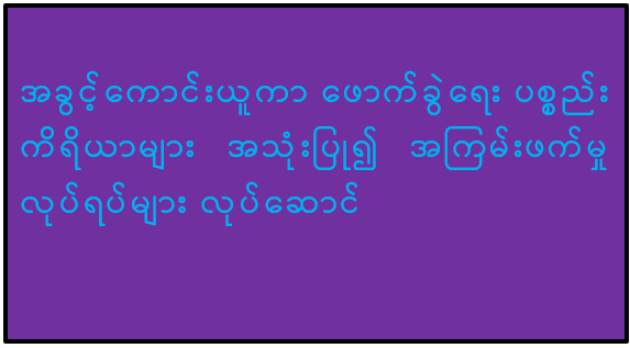 အခွင့်ကောင်းယူကာ ဖောက်ခွဲရေးပစ္စည်းကိရိယာများ အသုံးပြု၍ အကြမ်းဖက်မှုလုပ်ရပ်များ လုပ်ဆောင်