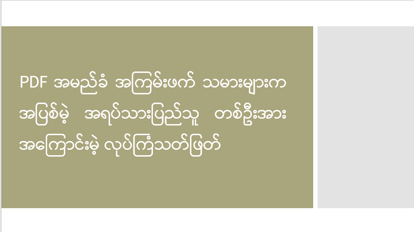 PDF အမည်ခံ အကြမ်းဖက်သမားများက အပြစ်မဲ့ အရပ်သားပြည်သူ တစ်ဦးအား အကြောင်းမဲ့ လုပ်ကြံသတ်ဖြတ်