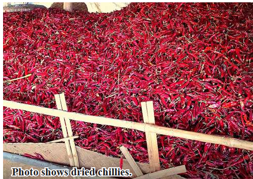 Wakema Township sends 75,000 viss of dried chilli to Yangon market in May