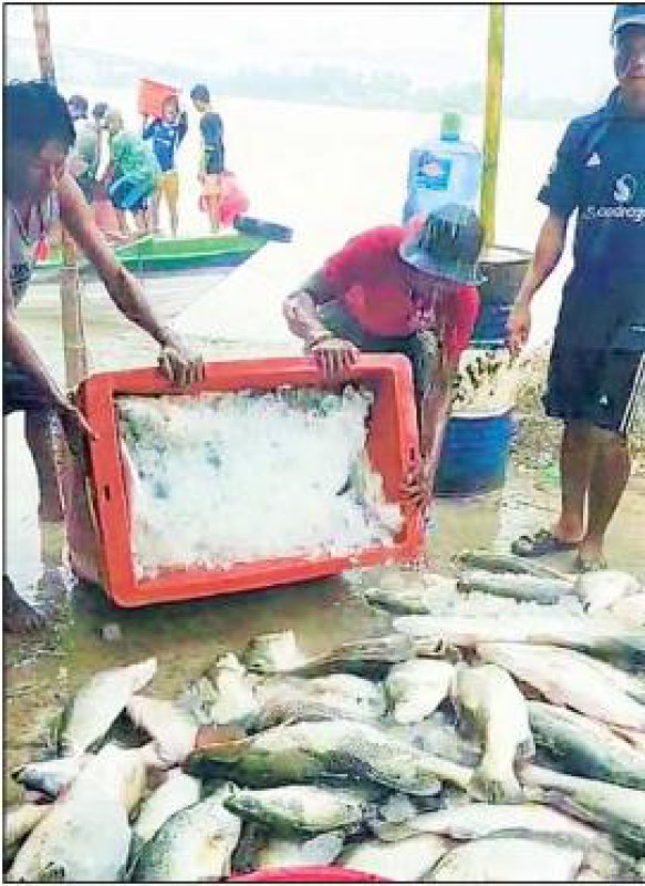 (၂၀၂၄ -၂၀၂၅) ဘဏ္ဍာနှစ်အတွင်း ပြည်ပသို့ရေချိုထွက်ကုန် တန်ချိန် (၅)သိန်းကျော်တင်ပို့နိုင်ခဲ့