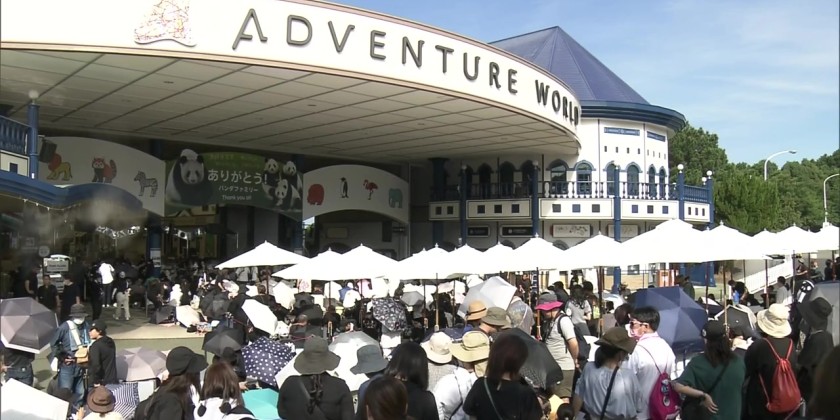 Visitors bid farewell to 4 giant pandas in western Japan