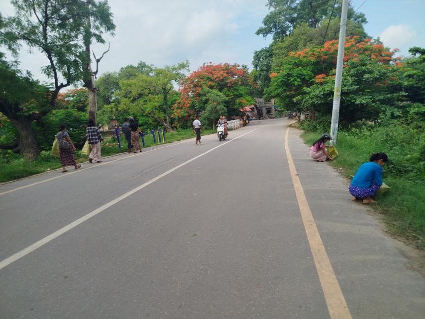 တံတားဦးမြို့နယ်တွင် မိုးရာသီ၌ စိမ်းလန်း စိုပြည်သန့်ရှင်းသာယာလုပ်ငန်းများ စဉ်ဆက်မပြတ်ဆောင်ရွက်