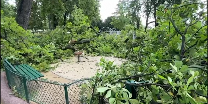 Storm damage in Paris park after violent weather