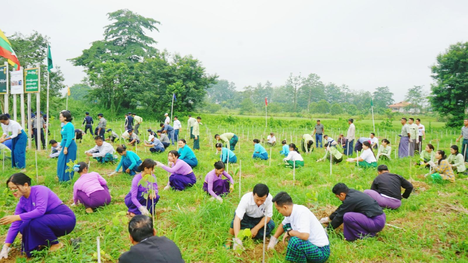  Collective Tree Planting Ceremony Held in Tanai Township