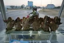 ကမ္ဘောဒီးယားသားအမိနှစ်ဦး H5N1 ကြက်ငှက်တုပ်ကွေးရောဂါကူးစက်ခံရ