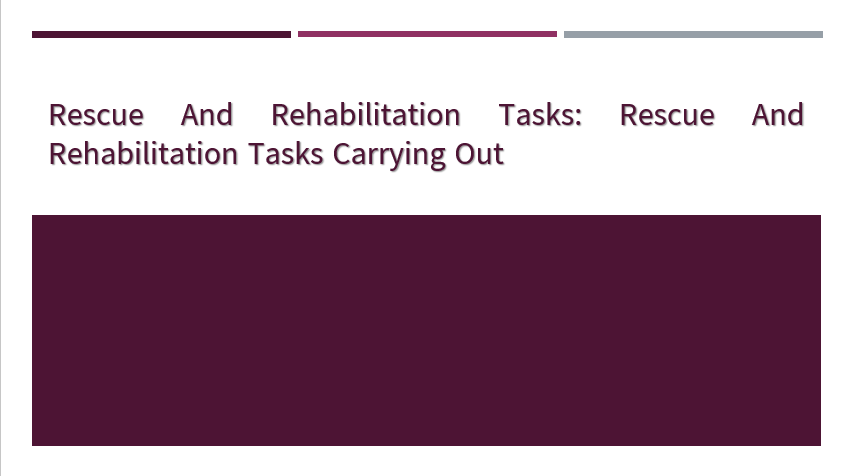 Rescue and rehabilitation tasks: Rescue and rehabilitation tasks carrying out