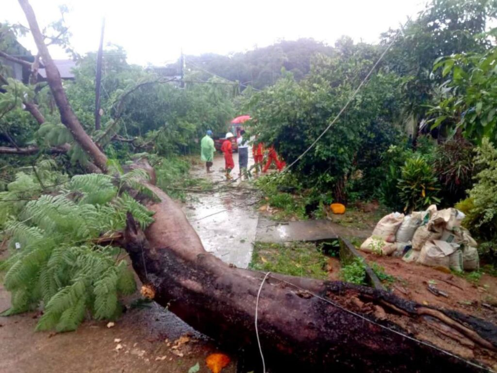 ကော့သောင်းမြို့တွင် တစ်နေ့တည်း သစ်ပင်လဲကျမှု(၃)ကြိမ်ဖြစ်ပွား