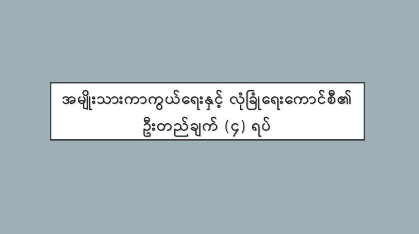 အမျိုးသားကာကွယ်ရေးနှင့် လုံခြုံရေးကောင်စီ၏ ဦးတည်ချက် (၄) ရပ်