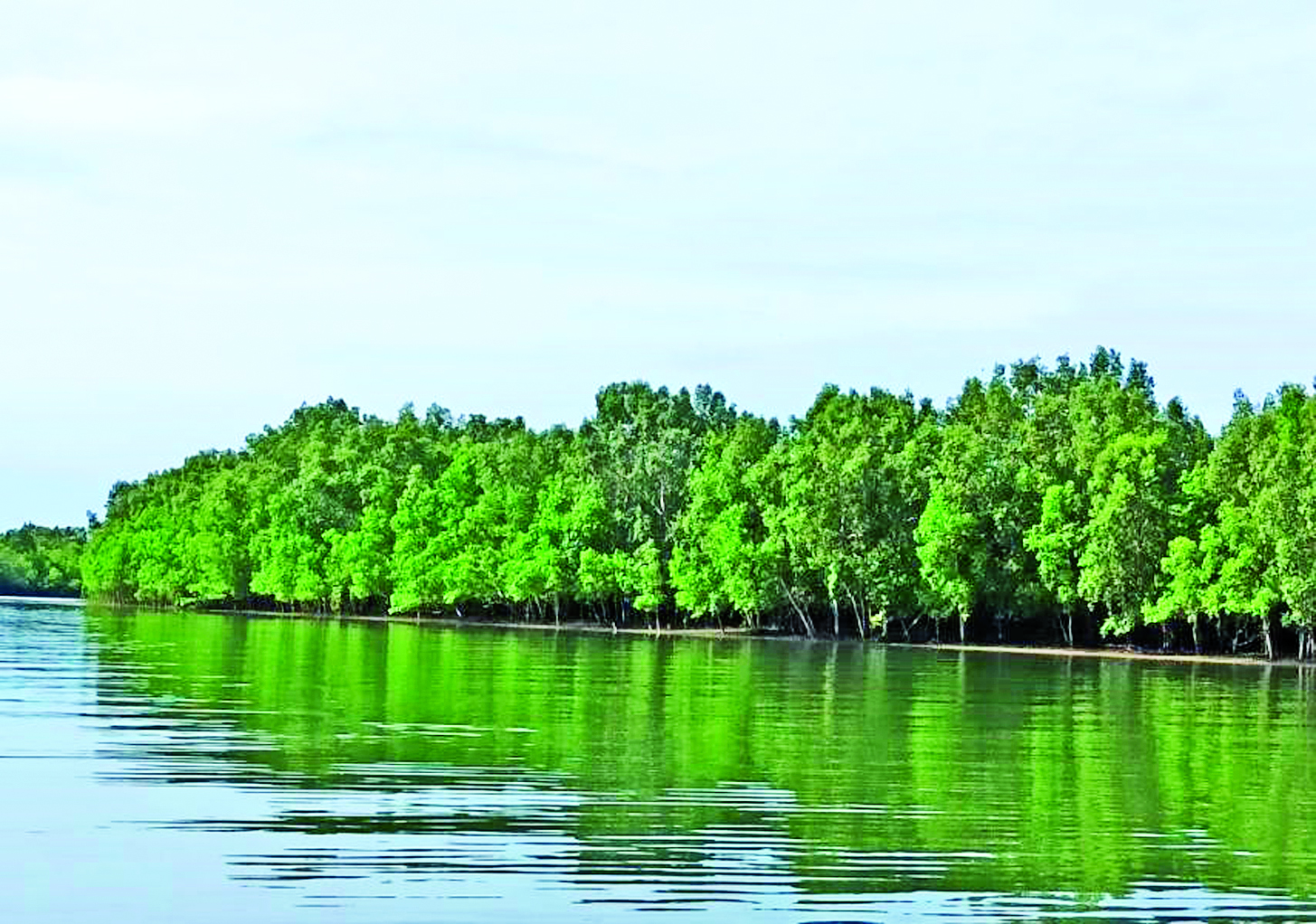 ခိုကျွန်းဒီရေတောကြိုးပြင်ကာကွယ်တော သတ်မှတ်