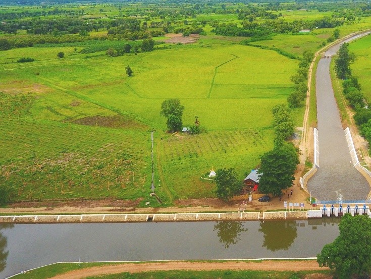 ၂၀၂၅-၂၀၂၆ ခုနှစ် မိုးစပါးမျိုးကွဲများအလိုက် (၅၂၈၁၇) ဧက လျာထား စိုက်ပျိုး
