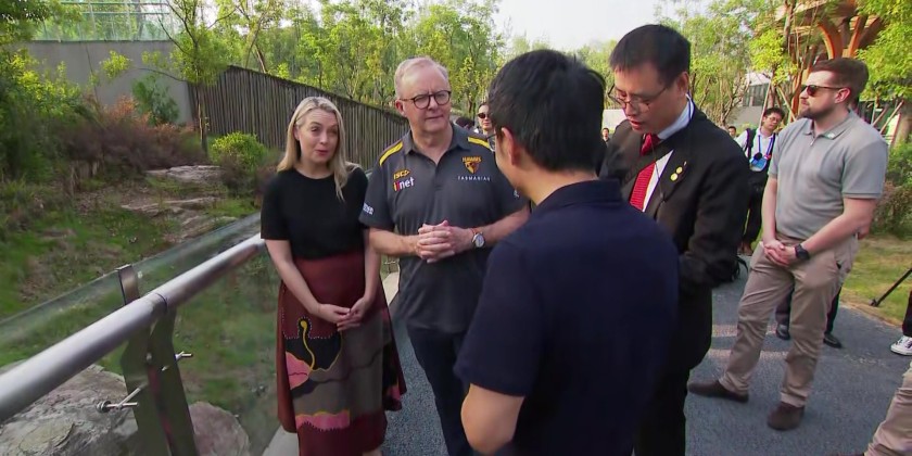 Australian Prime Minister visits panda breeding center on final day of China trip