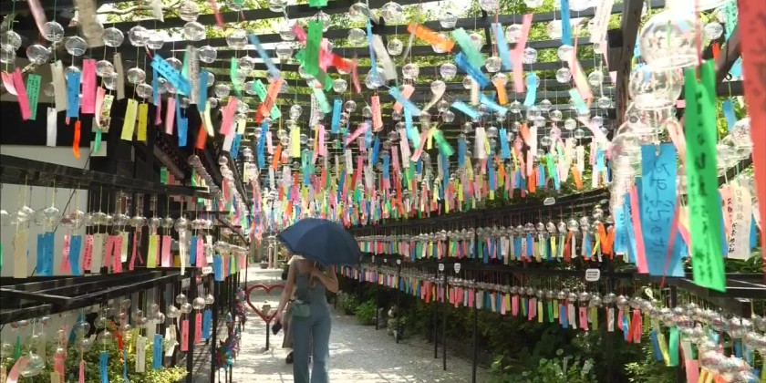 Over 10,000 wind chimes in Mitsuidera temple