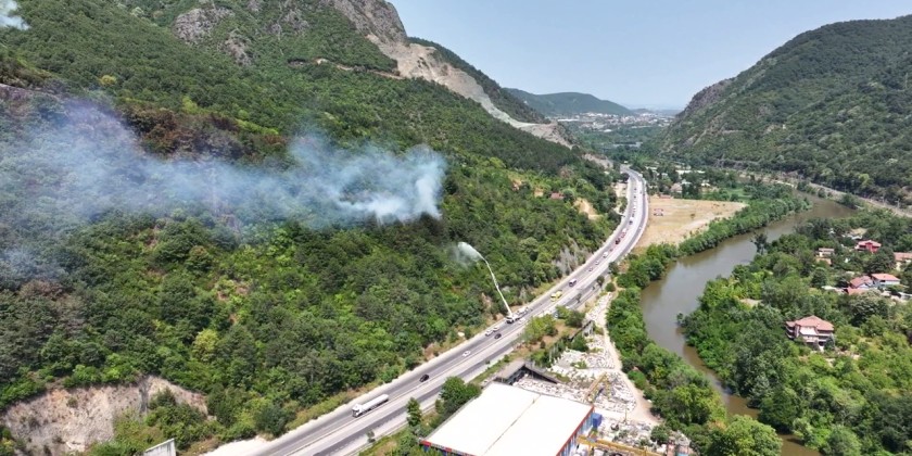 The wildfires that broke out in Türkiye’s Sakarya province