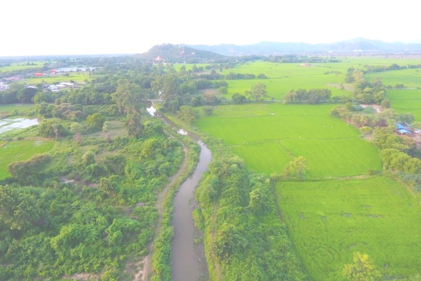 ကျောက်ဆည်မြို့နယ်တွင် နွေစပါး၊ နွေနှမ်း၊ မိုးကြိုပဲတီစိမ်း၊ ငရုပ်သီးနှံ (၅၂၅၅၂) ဧက လျာထား စိုက်ပျိုးလျက်ရှိရာ တိုက်နယ် (၆) နယ်တွင် (၄၃၈၈) ဧကစိုက်ပျိုးပြီးဖြစ်
