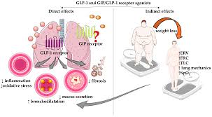 GLP-1 group drug users may be at increased risk of GEAD