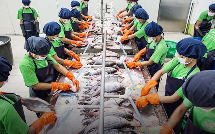 Fisheries Dept aims to generate $750M from fishery exports