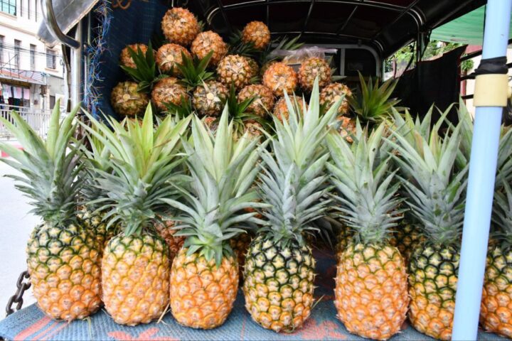 Shan pineapples poised for China market entry