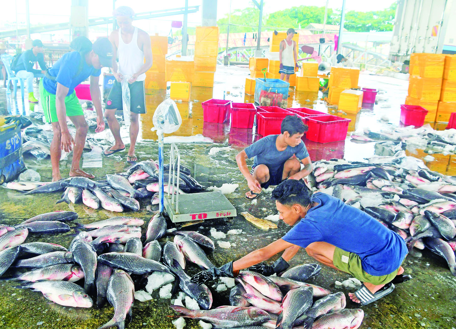 Daily seafood flow hits 500,000 tonnes at Yangon markets