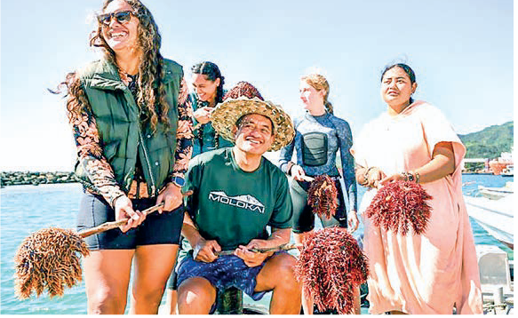 Cook Islands wages war on ‘plague’ of hungry starfish