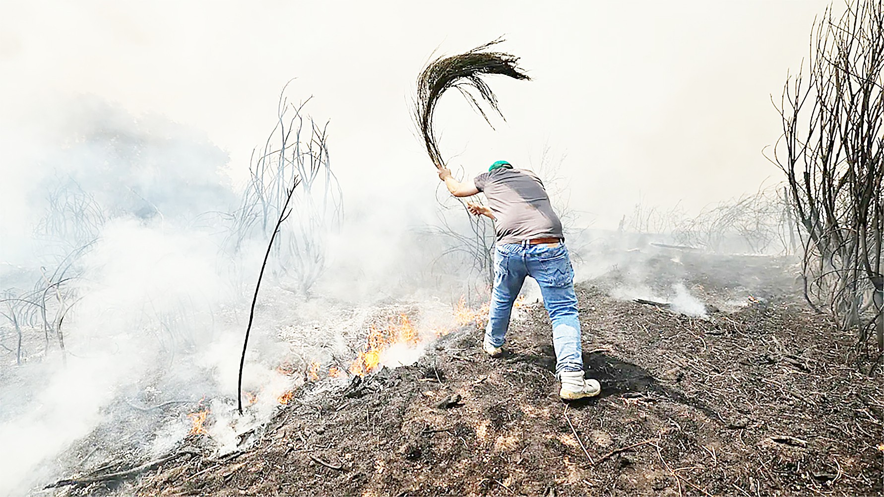 စပိန်နှင့်ပေါ်တူဂီတို့၌ တောမီးလောင်မှုများကိုရင်ဆိုင်နေရစဉ် သေဆုံးသူဦးရေမြင့်တက်လာ