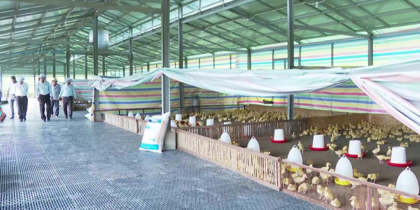Inspection Tour : Development works in Magway Region