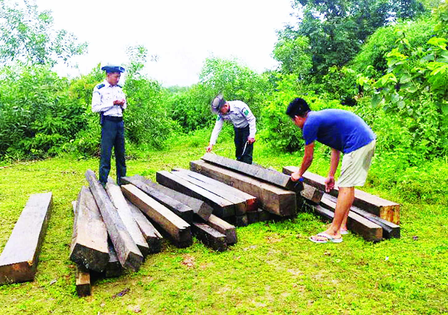 နေပြည်တော် သြဂုတ် ၁  တရားမဝင်ကုန်သွယ်မှု တိုက်ဖျက်ရေးဦးဆောင်ကော်မတီ၏ ကြီးကြပ်ကွပ်ကဲမှုဖြင့် တရားမဝင်ကုန်သွယ်မှုများကို ဥပဒေနှင့်အညီ ထိရောက်စွာတားဆီးအရေးယူနိုင်ရေး ဆောင်ရွက်လျက်ရှိသည်။  ထိုသို့‌ဆောင်ရွက်လျက်ရှိရာ ဇူလိုင် ၃၀ ရက်တွင် မကွေးတိုင်းဒေသကြီး တရားမဝင် ကုန်သွယ်မှုတိုက်ဖျက်ရေးအထူးအဖွဲ့၏ စီမံခန့်ခွဲမှုဖြင့် တာဝန်ကျပူးပေါင်းအဖွဲ့က စစ်ဆေးမှုများ ဆောင်ရွက်ခဲ့ရာ သရက်ခရိုင် မင်းတုန်းမြို့နယ်၌ တရားမဝင် အခြားသစ် ၀ ဒသမ ၈၇၅ တန် (ခန့်မှန်းတန်ဖိုးငွေကျပ် ၁၆၆၂၅၀) ကို ဖမ်းဆီးရမိခဲ့ပြီး သစ်တောဥပဒေနှင့်အညီ အရေးယူ‌ဆောင