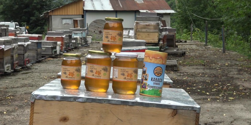 Honey harvesting season begins in Artvin, Turkiye
