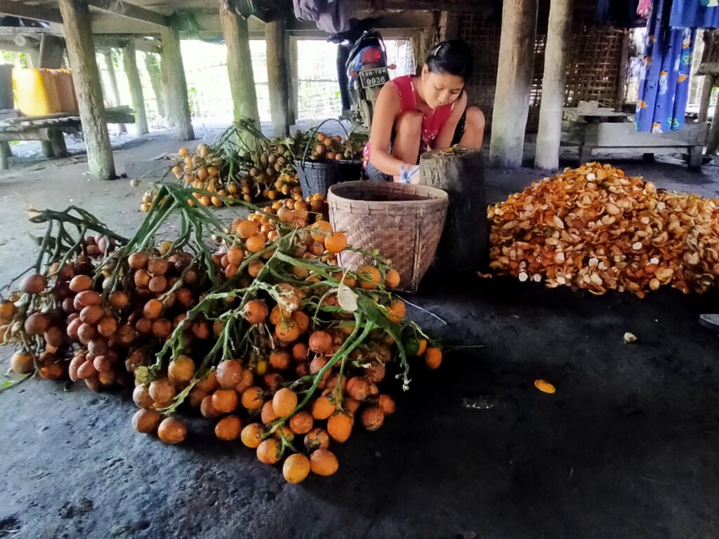 Myanmar’s areca nut exports to India soar in FY2024-25