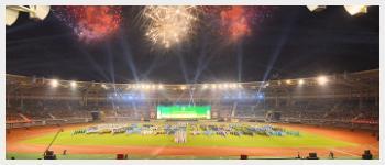 national sport