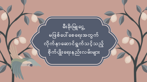 မီးခိုးမြူငွေ့ မဖြစ်ပေါ်စေရေးအတွက် လိုက်နာဆောင်ရွက်သင့်သည့် စိုက်ပျိုးရေးနည်းလမ်းများ