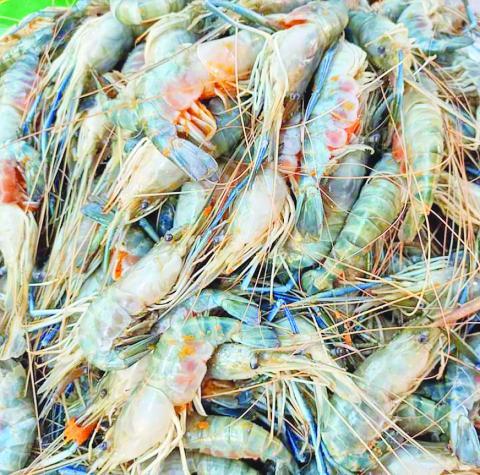 စီးပွားဖြစ် ရေချိုပုစွန် အသားတိုးမွေးမြူရာတွင် သိသင့်သည်များ