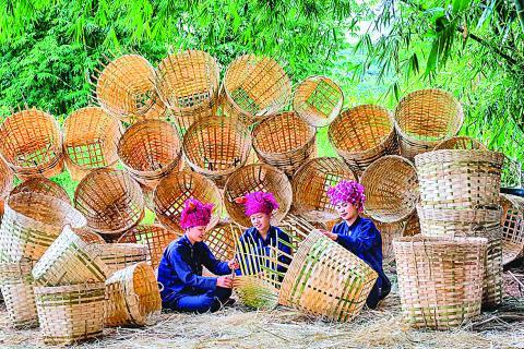 ဘက်စုံအသုံးဝင်ဝါးပင်နှင့် မြန်မာ့စီးပွားရေး ဝါးထုတ်ကုန်