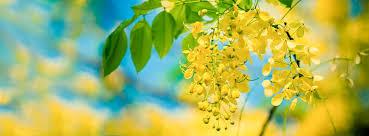 စိတ်သစ် လူသစ် စွမ်းအားသစ်ဖြင့် နှစ်သစ်ကိုကြိုဆို