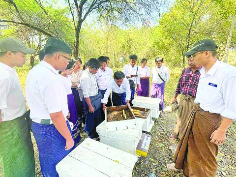 မြန်မာနိုင်ငံပျားမွေးမြူရေးပြက္ခဒိန်