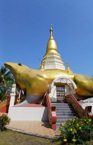A Day Trip to Maubin