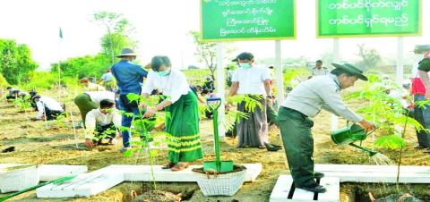  တစ်သက်လုံးစိတ်ချမ်းသာဖို့ သစ်ပင်စိုက်ကြစို့