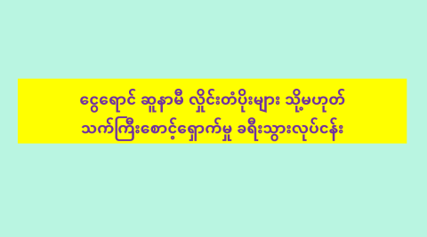 ငွေရောင် ဆူနာမီ လှိုင်းတံပိုးများ သို့မဟုတ် သက်ကြီးစောင့်ရှောက်မှု ခရီးသွားလုပ်ငန်း