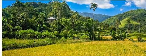 G20 အစည်းအဝေးကို ဘရာဇီးနိုင်ငံ Rio de Janeiro မြို့၌ ကျင်းပပြုလုပ်မည်