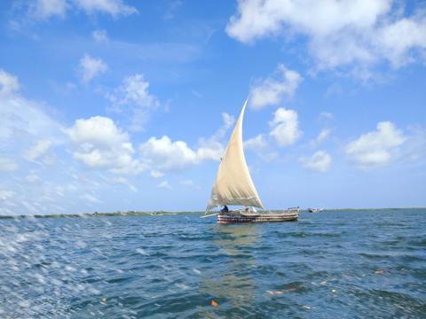 Huawei launches conservation project for marine protected area in Kenya