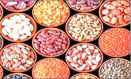 Myanmar pulse exports cross 1.5M tonnes in Apr-Dec 2024