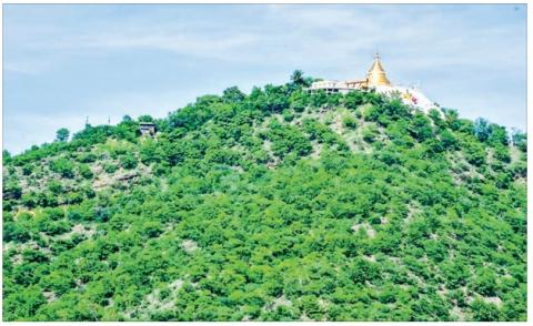 Tuyin Hill designated as protected public forest