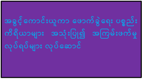 အခွင့်ကောင်းယူကာ ဖောက်ခွဲရေးပစ္စည်းကိရိယာများ အသုံးပြု၍ အကြမ်းဖက်မှုလုပ်ရပ်များ လုပ်ဆောင်
